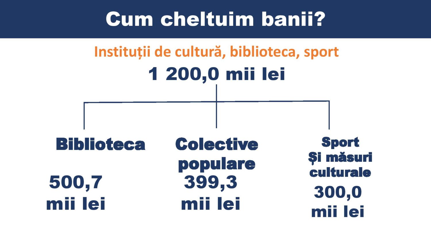 structura bugetului 2021 11