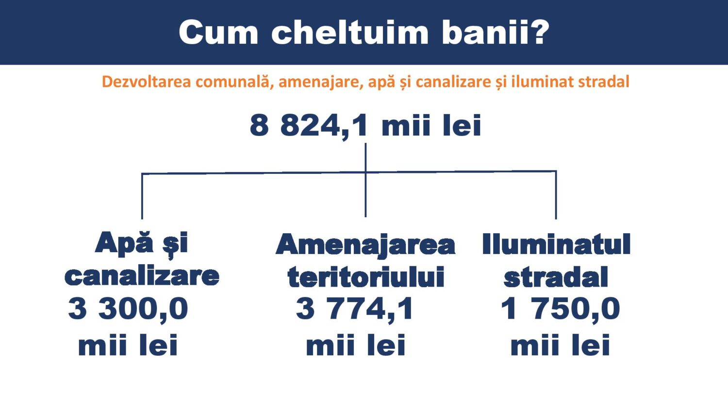 structura bugetului 2021 12