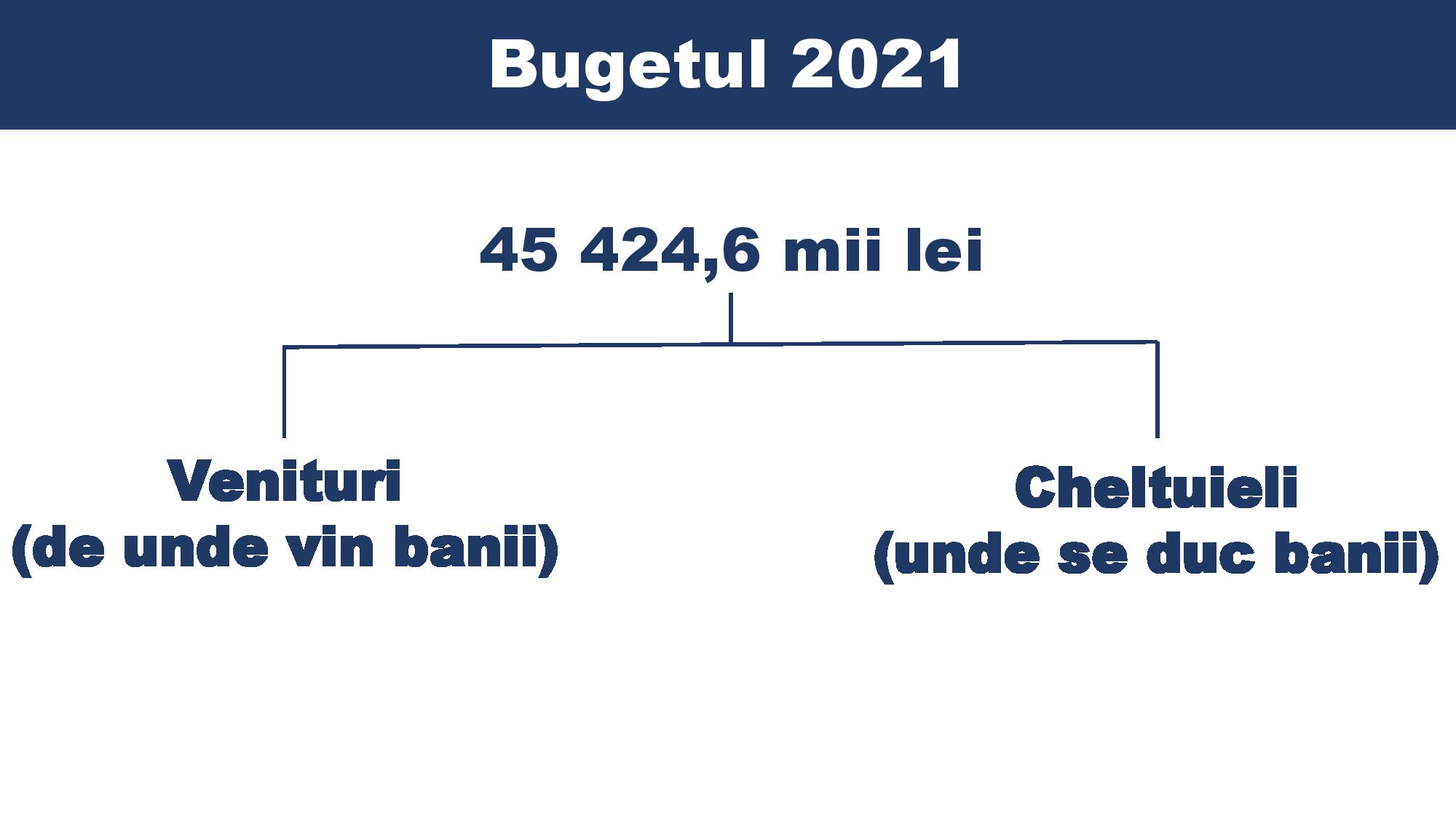 structura bugetului 2021 3