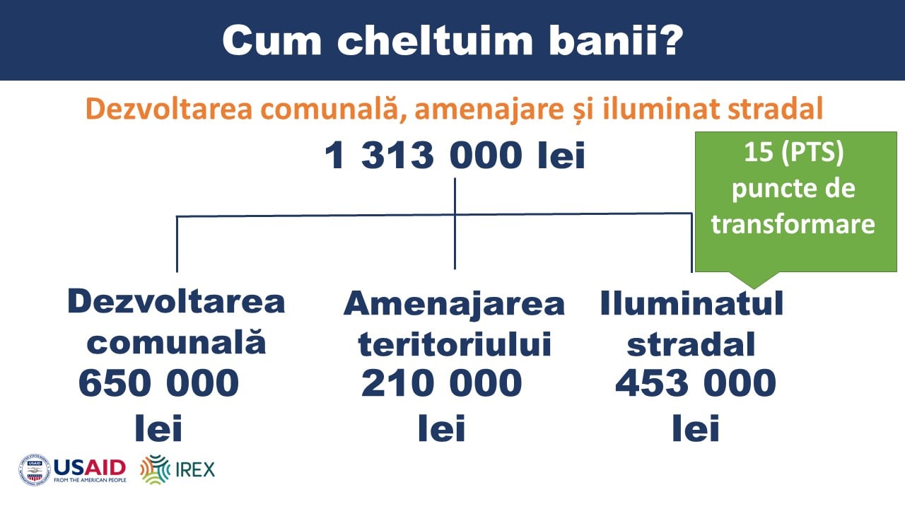 bugetul razeni 11