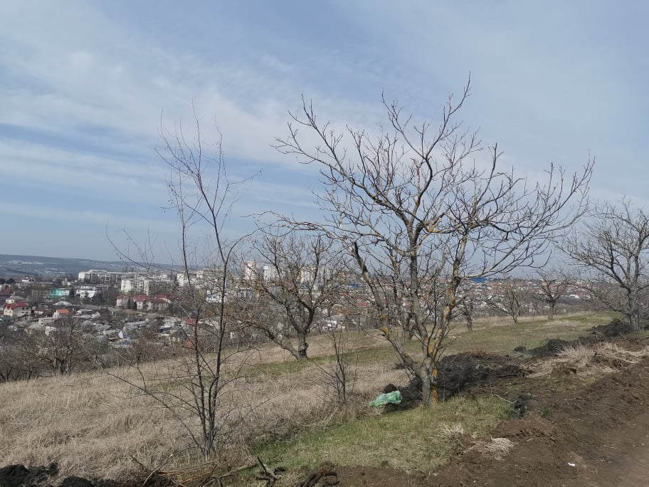 O nouă delimitare de teren din Nucarii Ialoveniului 1 nucari 13 04 21 ban