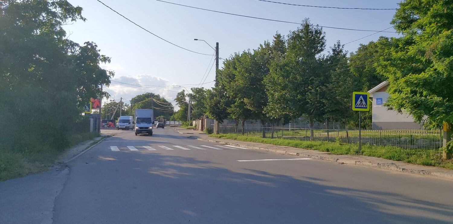FOTO// După câteva luni de bătut la uși, un cetățean din Ialoveni a obținut desenarea unei ZEBRE 4 zebra desenata pe Stefan cel Mare 5