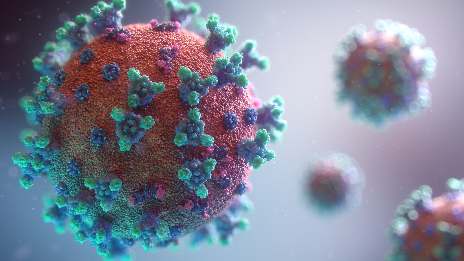 Elevii din patru localități din raionul Ialoveni revin la școală. O singură localitate - sub COD ROȘU 1 coronavirus 2021