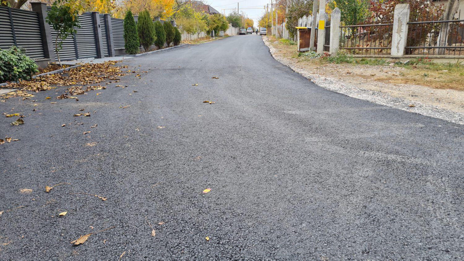 Timisoara asfalt 10