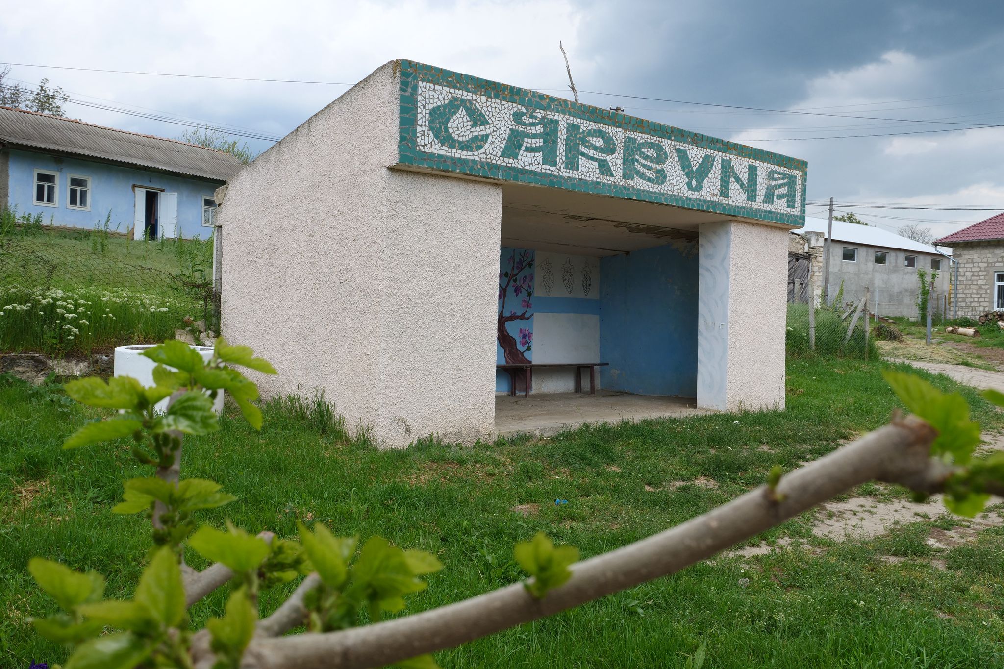 Primăria satului Cărbuna solicită părerea cetățenilor 1 271761761 268044275431720 5628454076256050759 n 1