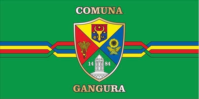 Primarul localității Gangura va prezenta raportul de activitate la ședința consiliului local din 15 februarie 1 256788641 4821486084550761 6008435943201235372 n