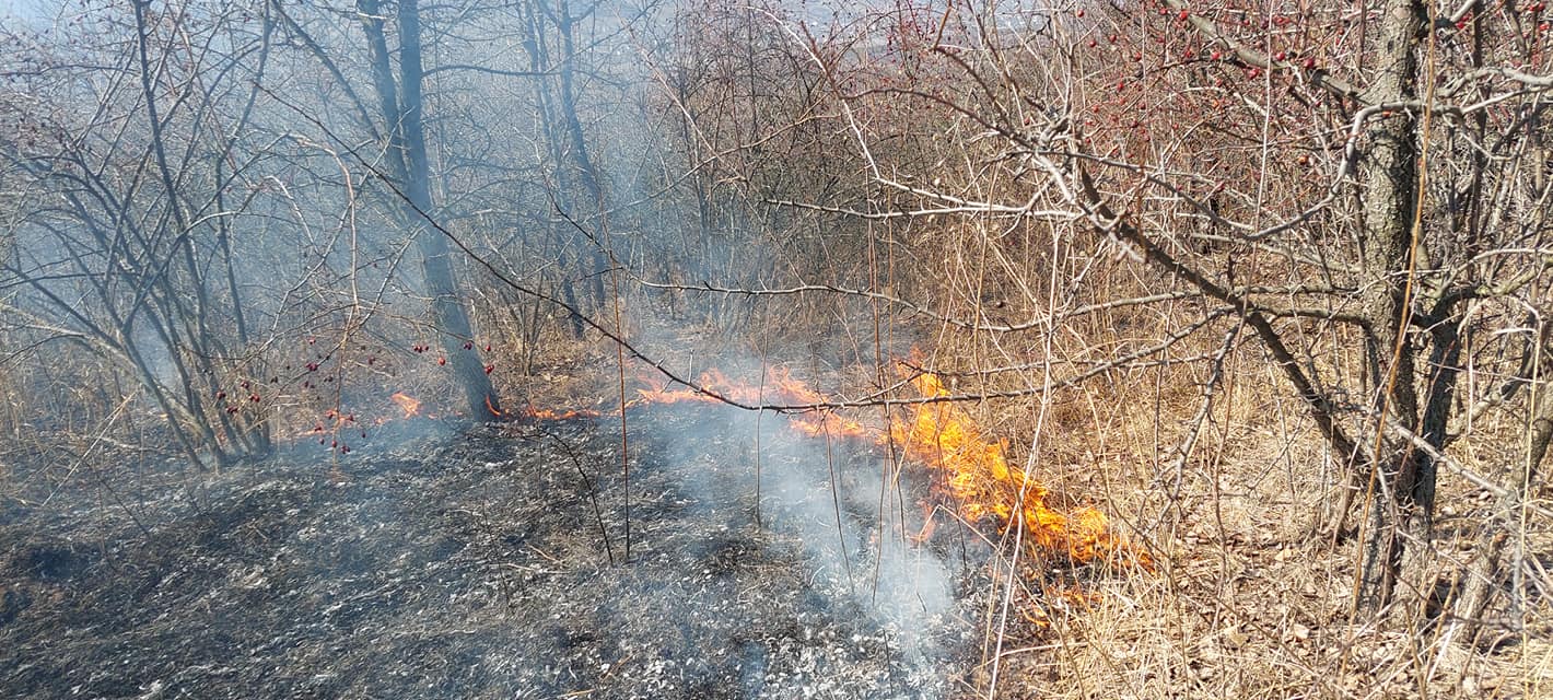 Sancțiuni mai dure pentru cei ce provoacă incendii de vegetație 2 277297376 5103332473037613 1441739529267241543 n