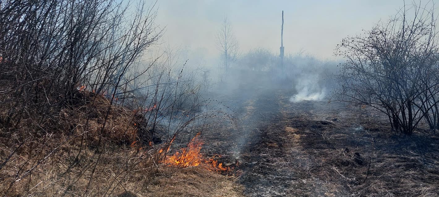 Sancțiuni mai dure pentru cei ce provoacă incendii de vegetație 1 277307942 5103332693037591 7233607278369680258 n