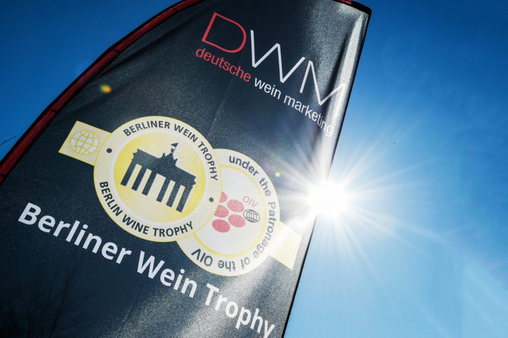 Trei vinuri produse în raionul Ialoveni au primit medalii de aur la concursul Berliner Wein Trophy 2023 1 vin berliner wein trophy