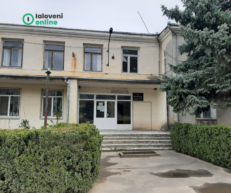 Mariana Dimitriu este învingătoarea concursului pentru ocuparea funcției publice de secretară al consiliului local Văsieni 1 Untitled design 3
