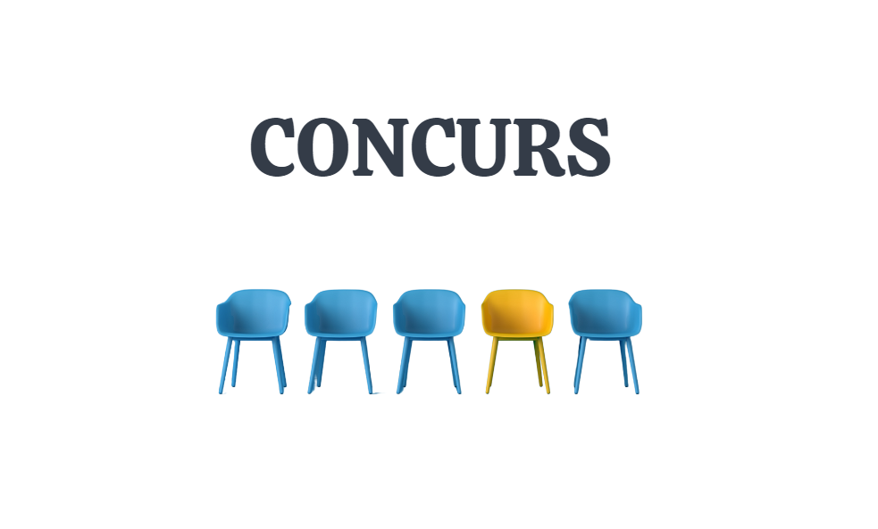 Concurs pentru ocuparea funcției de director al Liceului Teoretic Zîmbreni 1 Screenshot 2023 07 14 23.59.48