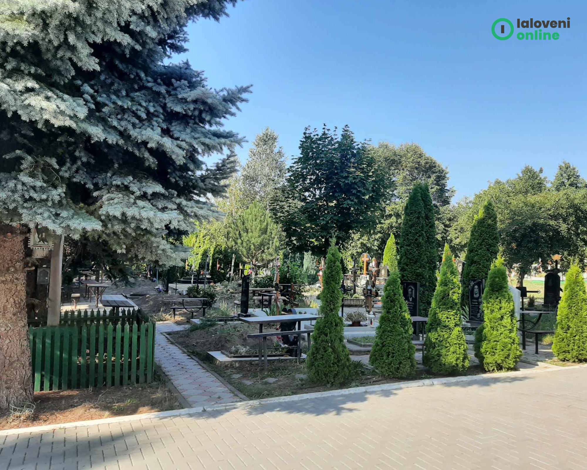 ACTUALIZARE: Consilierii au aprobat rezervarea gratuită a unui loc în cimitirul nou pentru un cetățean 1 Brown Cream Aesthetic Photo Colage