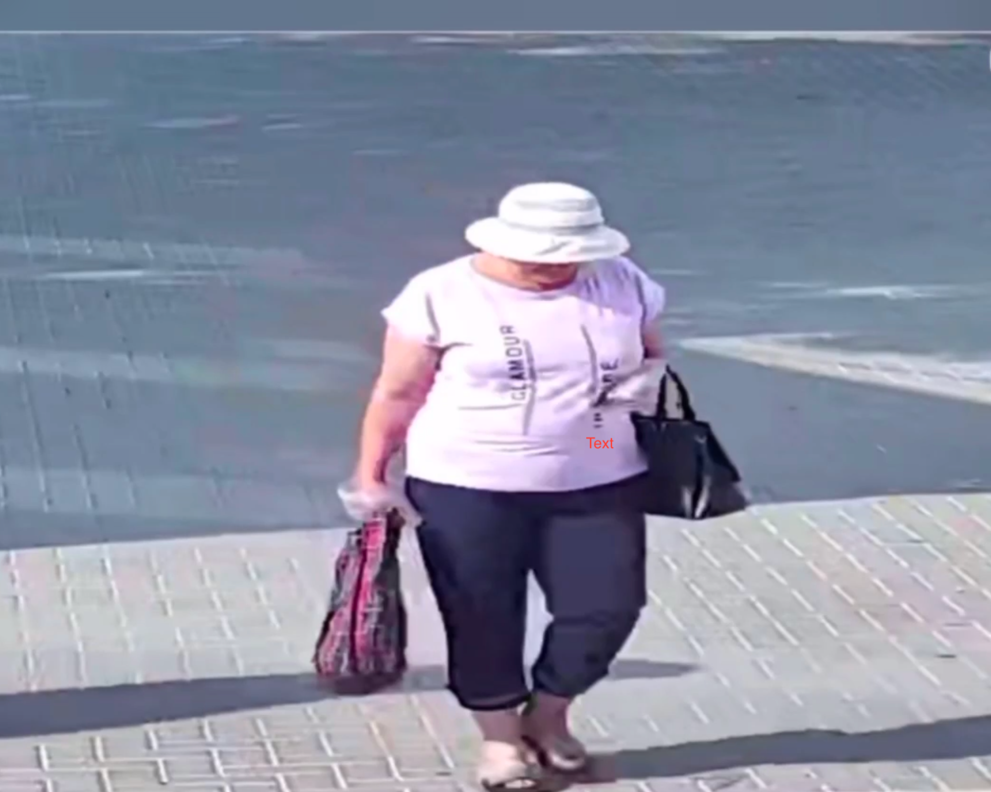 Poliția din Ialoveni solicită suportul cetățenilor pentru identificarea unei femei suspectată de escrocherie 1 Brown Cream Aesthetic Photo Colage 2