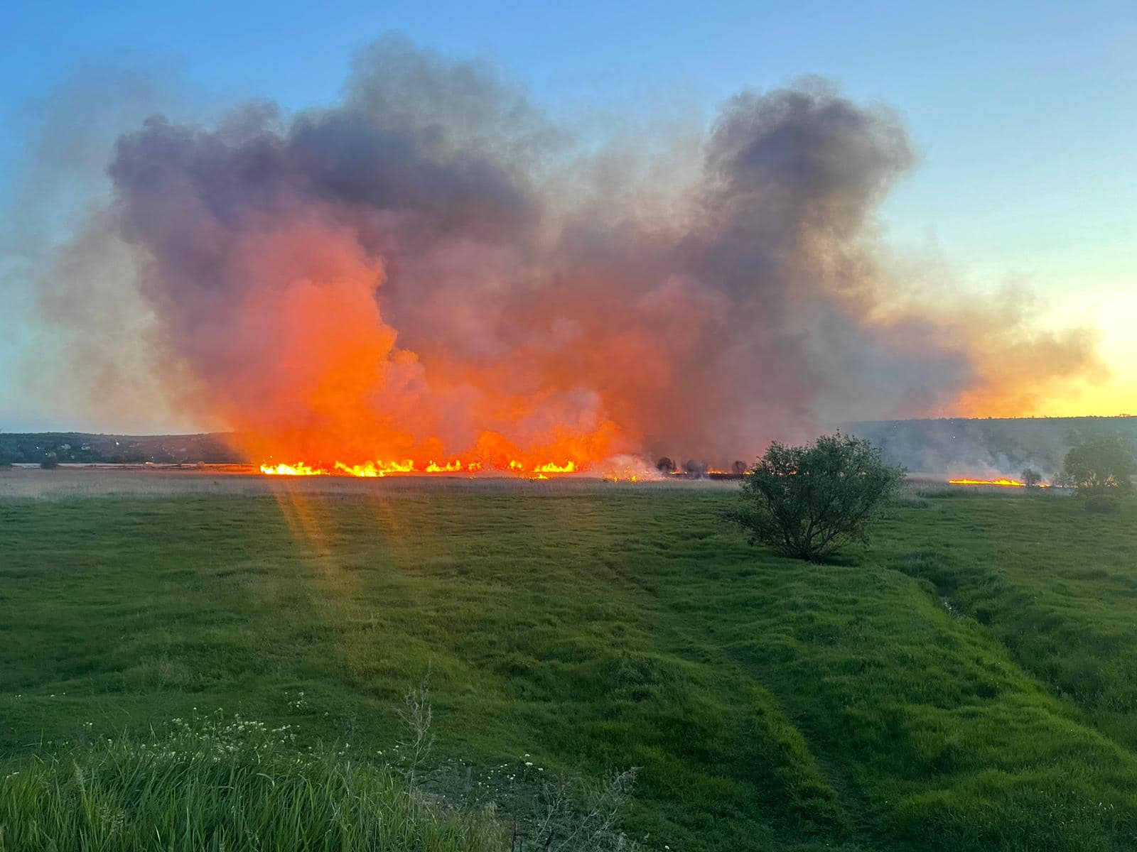 VIDEO. Incendiu pe malul lacului Dănceni. „Ardea toată papura... E foarte clar, pelicanii încurcau” 1 foto: Facebook/Victoria Butuc-Guranda