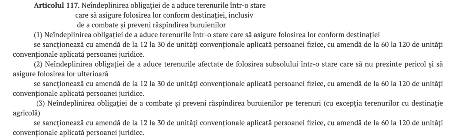 Primăriile din raionul Ialoveni, îndemnate să ia măsuri împotriva ambroziei 2 Captura de ecran din 2024 08 21 la 15.42.37