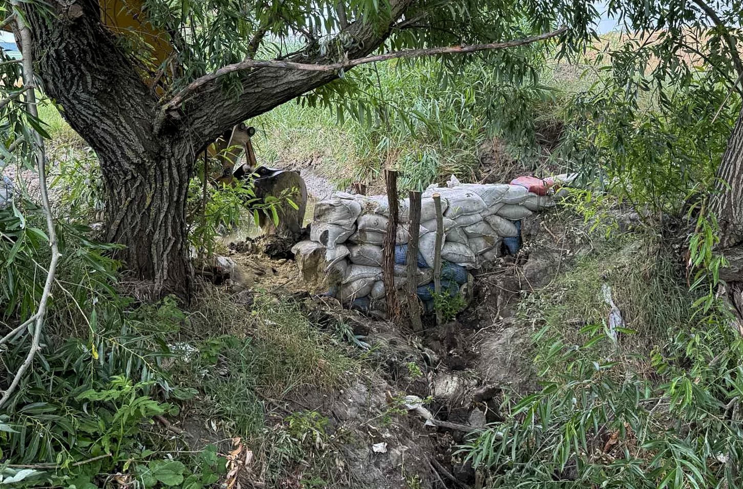 FOTO// Baraje ilegale pe Botnișoara, demolate pentru a restabili fluxul natural al apei 1 baraj ilegal botnisoara 1