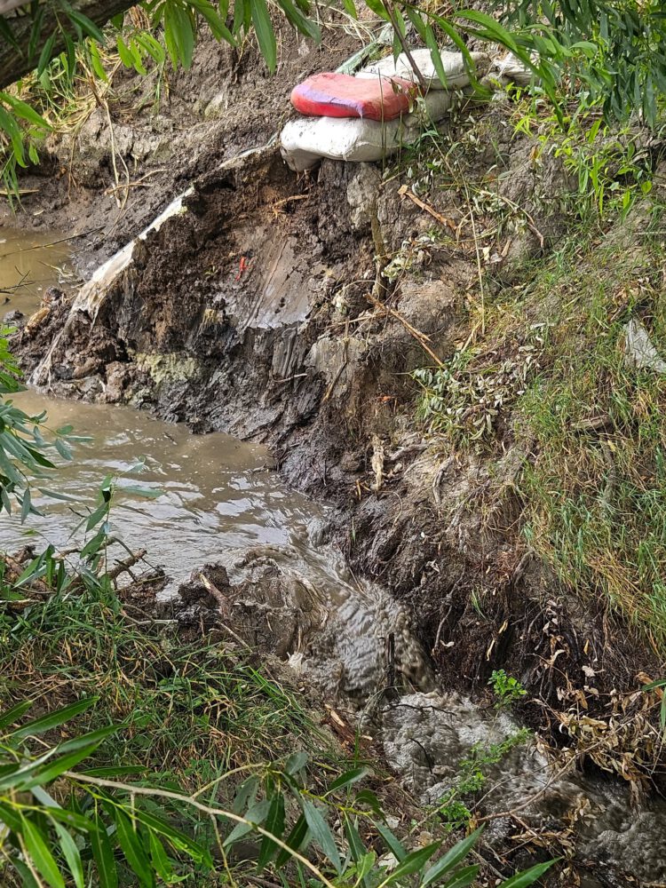 FOTO// Baraje ilegale pe Botnișoara, demolate pentru a restabili fluxul natural al apei 2 baraj ilegal botnisoara 2