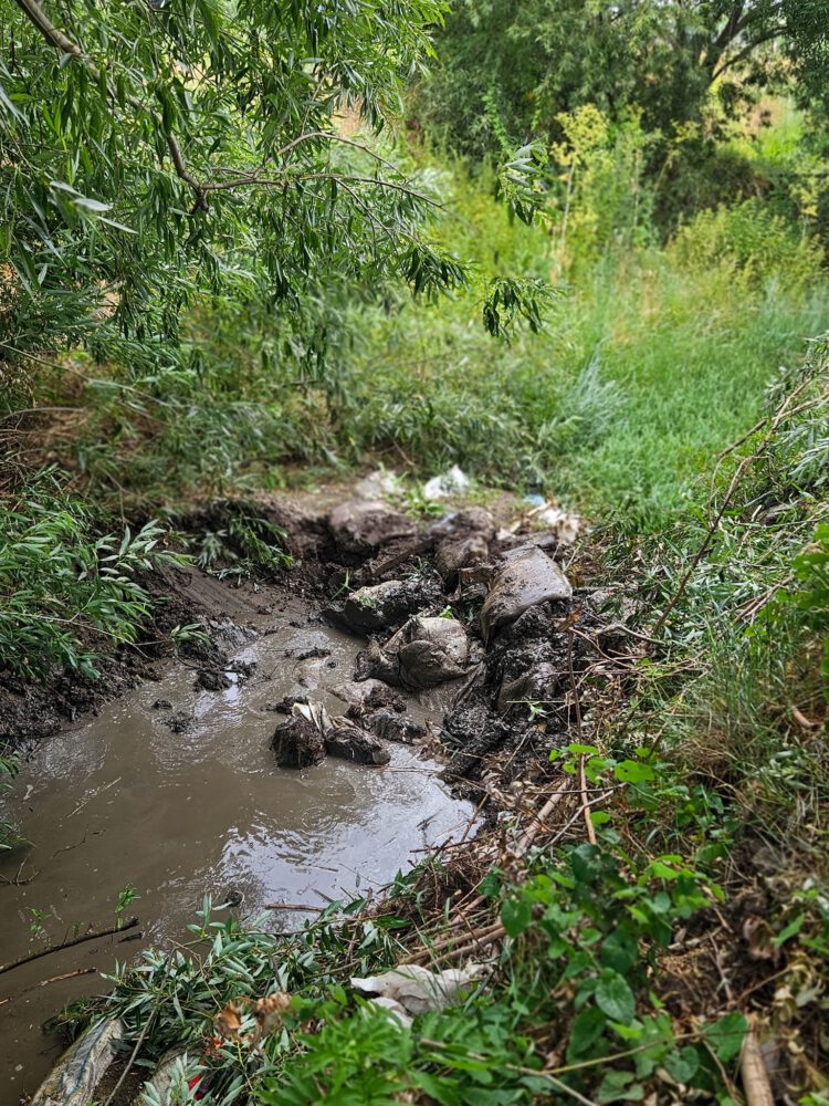 FOTO// Baraje ilegale pe Botnișoara, demolate pentru a restabili fluxul natural al apei 4 baraj ilegal botnisoara 4