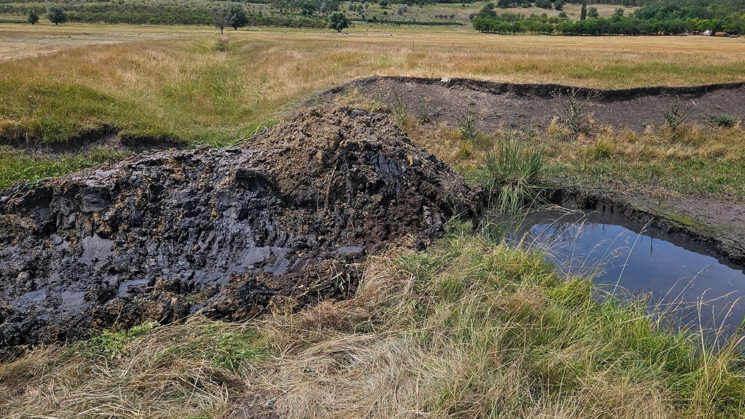 FOTO// Baraje ilegale pe Botnișoara, demolate pentru a restabili fluxul natural al apei 5 baraj ilegal botnisoara 5