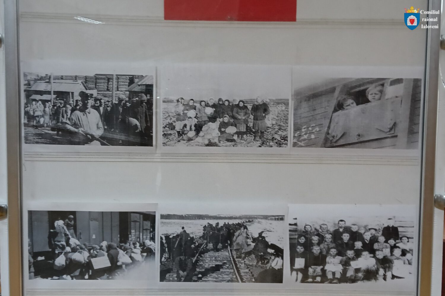 Expoziție comemorativă la Consiliul raional Ialoveni: 76 de ani de la cel mai mare val de deportări staliniste 5 deportari staliniste 2025 4