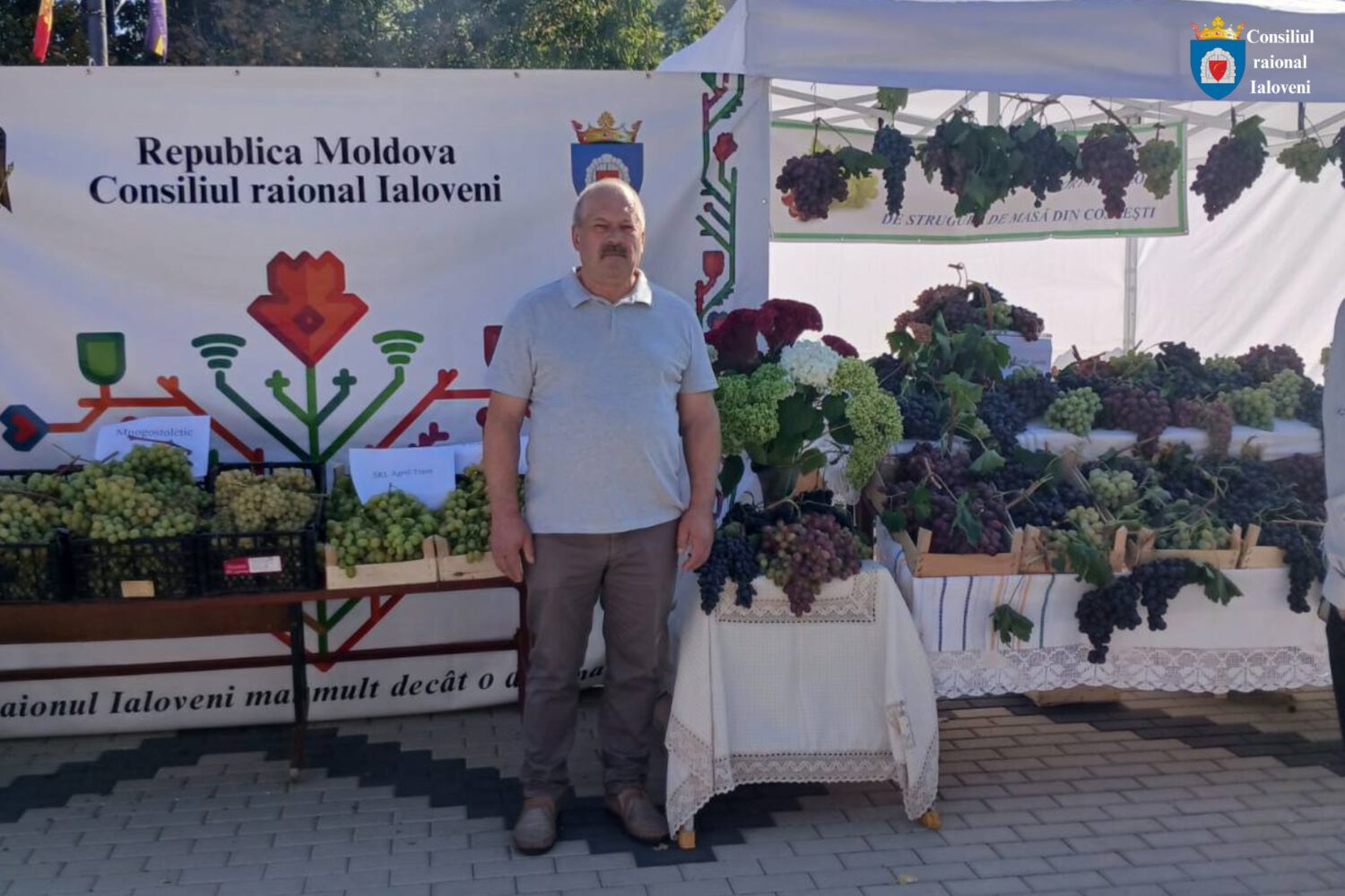 Al treilea cel mai mare strugure din țară este din raionul Ialoveni 2 545367818 1613498763306406 4168146856293809141 n