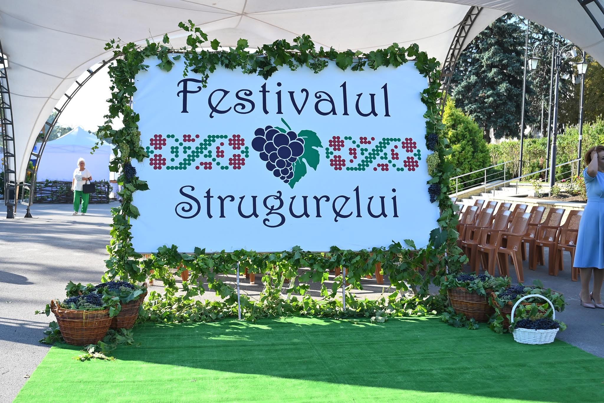 Al treilea cel mai mare strugure din țară este din raionul Ialoveni 1 IMG 1852