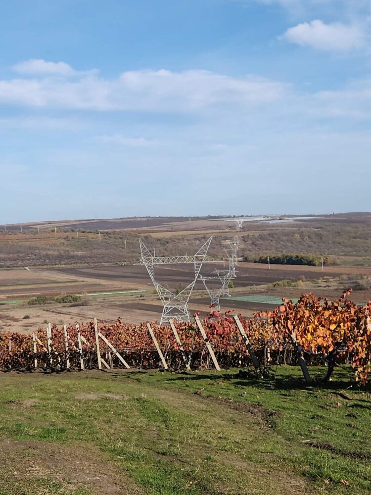 574607199 1280986620738693 5024172980684353244 n 1