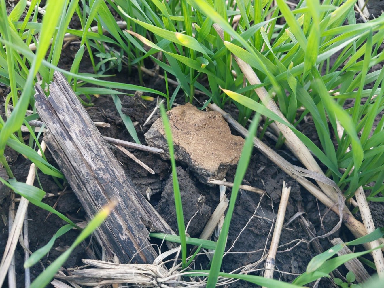 Descoperiri arheologice importante la hotarul orașului Ialoveni: două așezări getice și una din epoca bronzului, identificate recent 3 descoperiri arheologice ialoveni 3