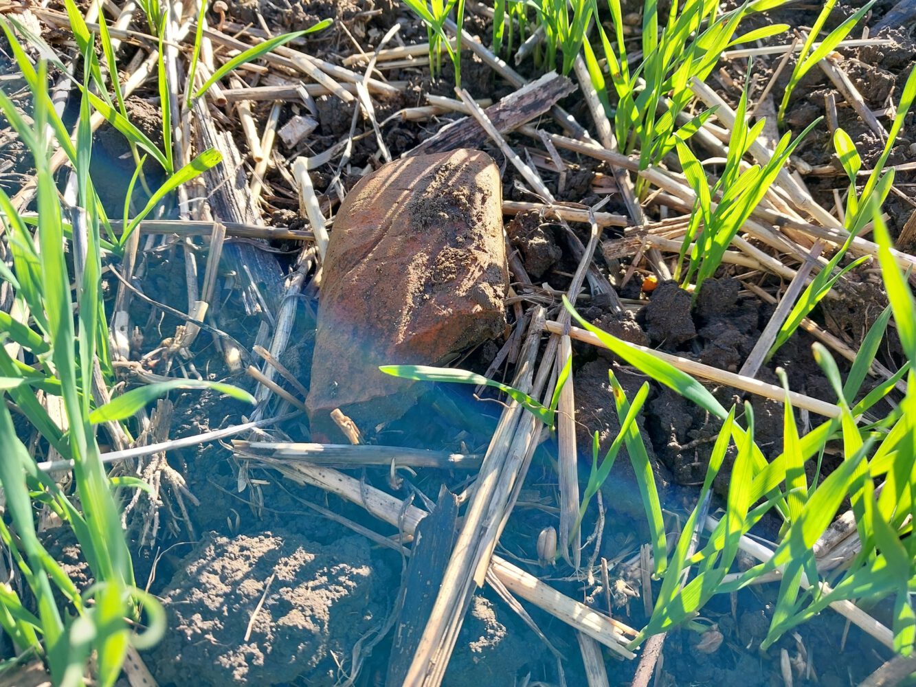 Descoperiri arheologice importante la hotarul orașului Ialoveni: două așezări getice și una din epoca bronzului, identificate recent 5 descoperiri arheologice ialoveni 5