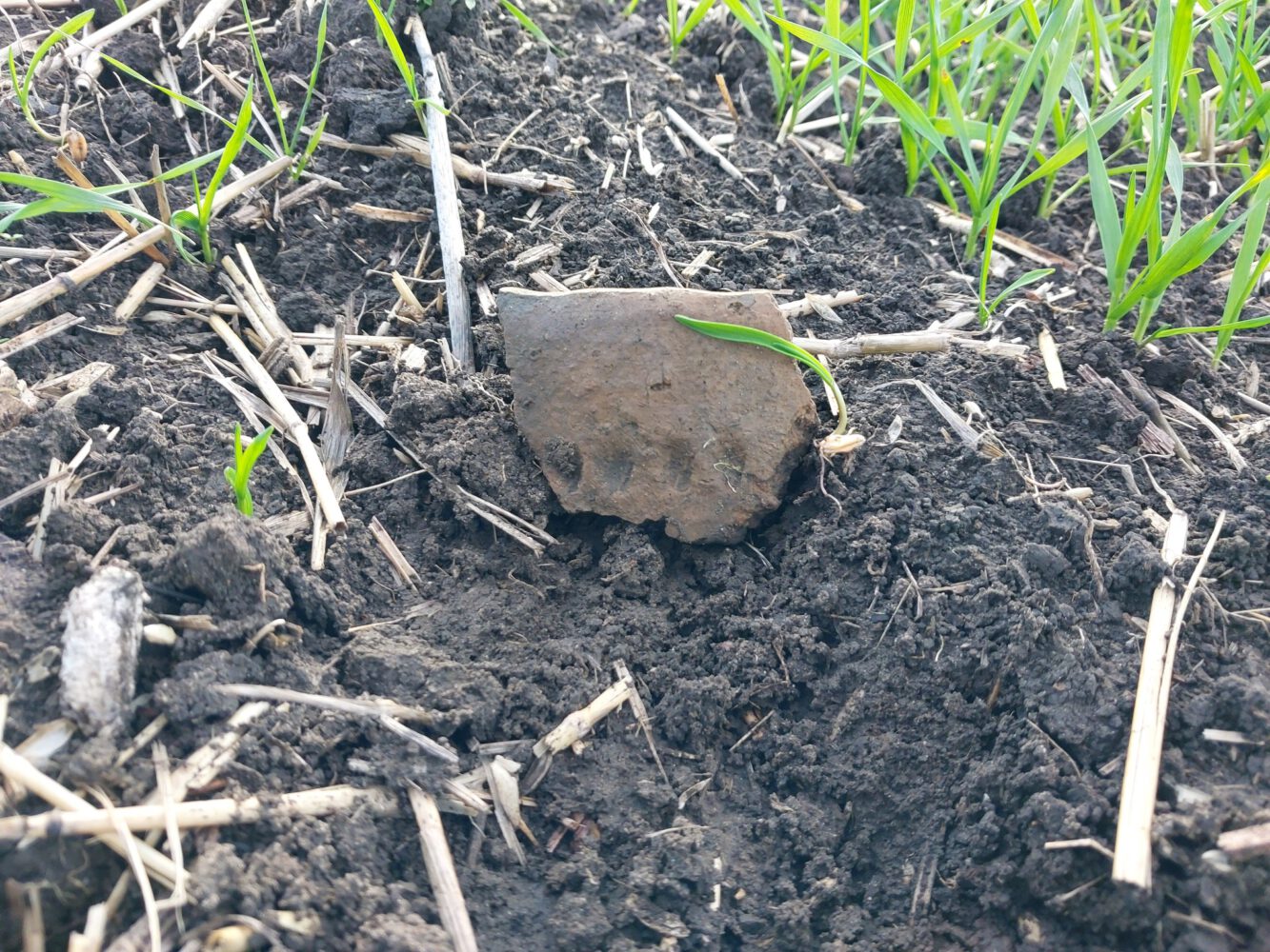 Descoperiri arheologice importante la hotarul orașului Ialoveni: două așezări getice și una din epoca bronzului, identificate recent 6 descoperiri arheologice ialoveni 6