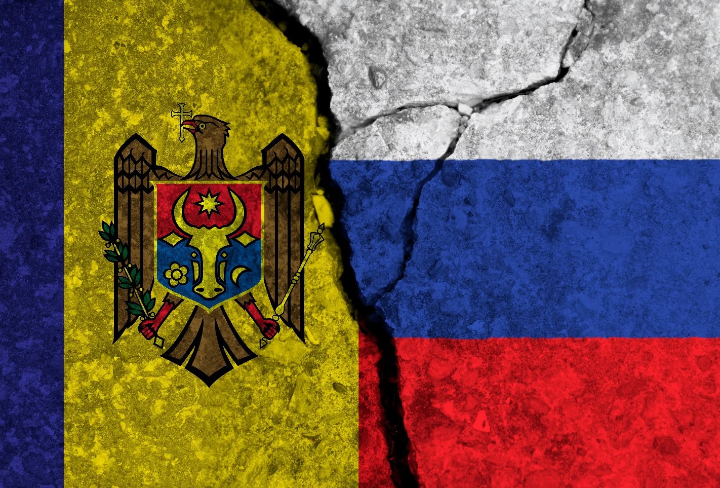 main 1772179715642 Screenshot 7