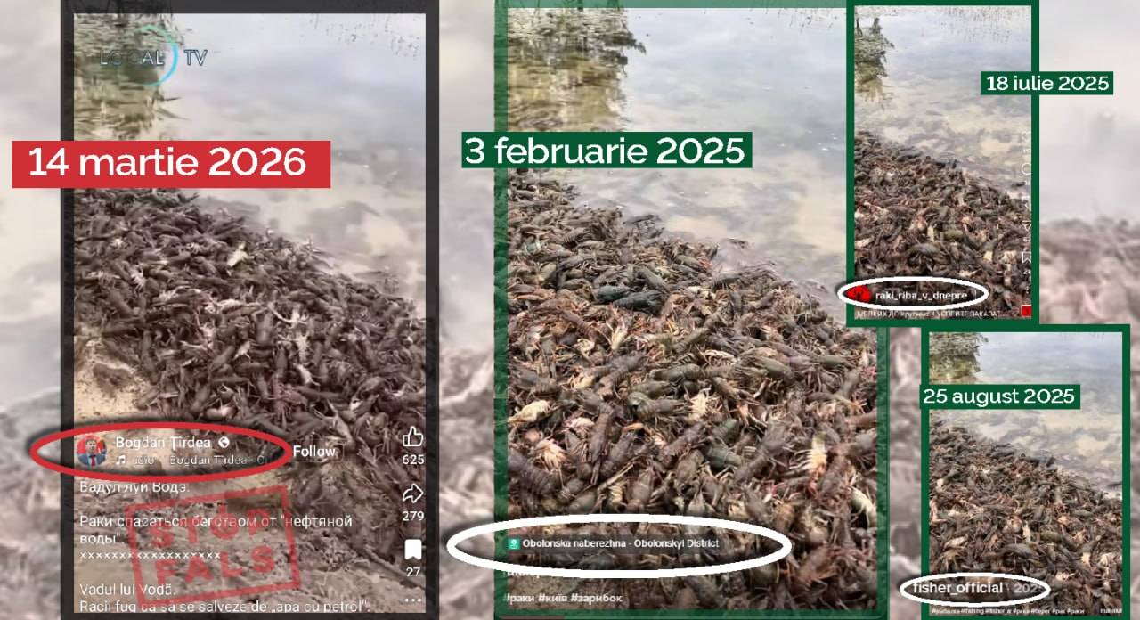 f366406578f8e3b19585509a6defdab5b0327484