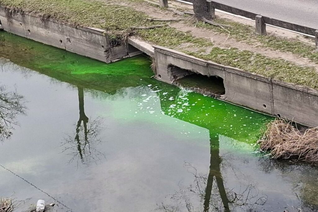 Pete de culoare verde în râul Bâc. Precizările Inspectoratului pentru Protecția Mediului 1 raul bac 1024x683 1