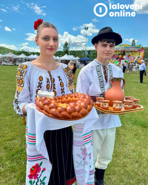 Festivalul Cireselor 2026 18