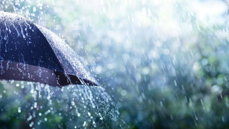 Avertizare meteo: Se așteaptă ploi puternice cu descărcări electrice, pe alocuri cu grindină 1 images 10