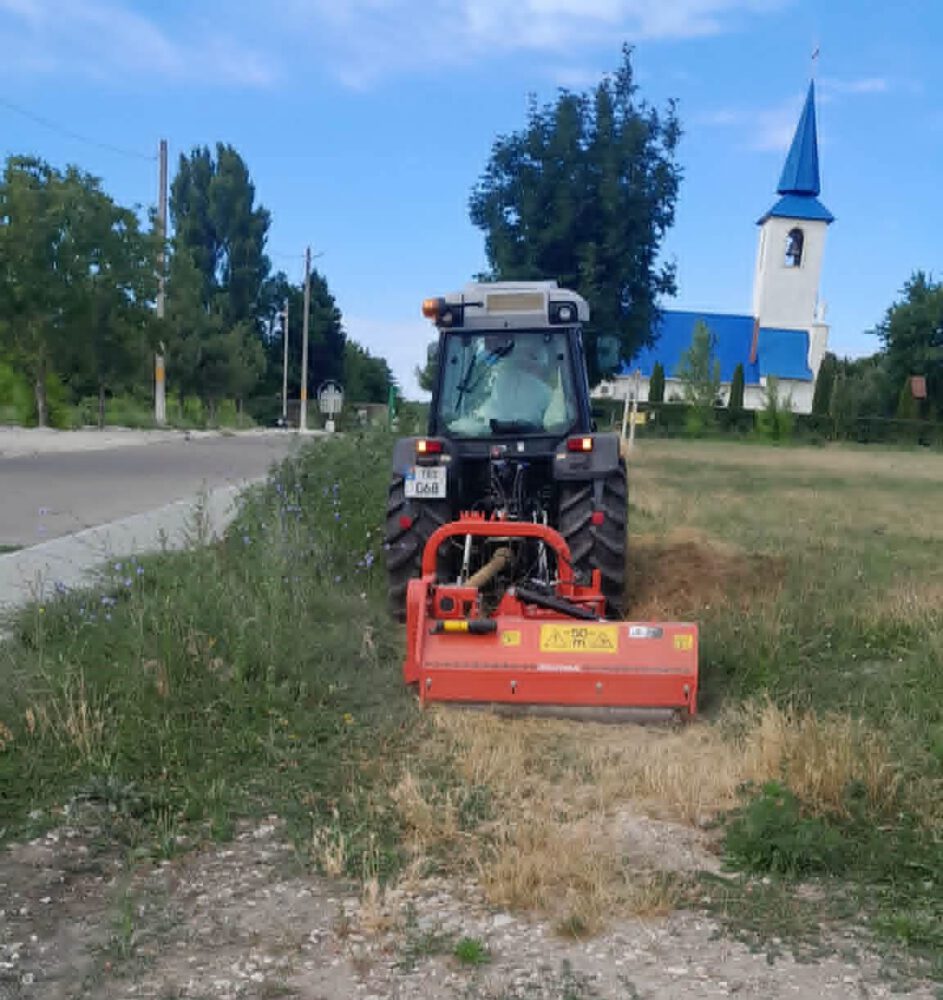 Cetățenii sunt somați să înceapă lucrările de nimicire a ambroziei de pe terenurile pe care le dețin 2 IMG 4108