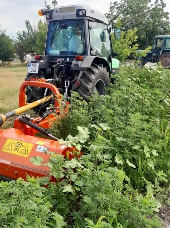 Cetățenii sunt somați să înceapă lucrările de nimicire a ambroziei de pe terenurile pe care le dețin 3 IMG 4109