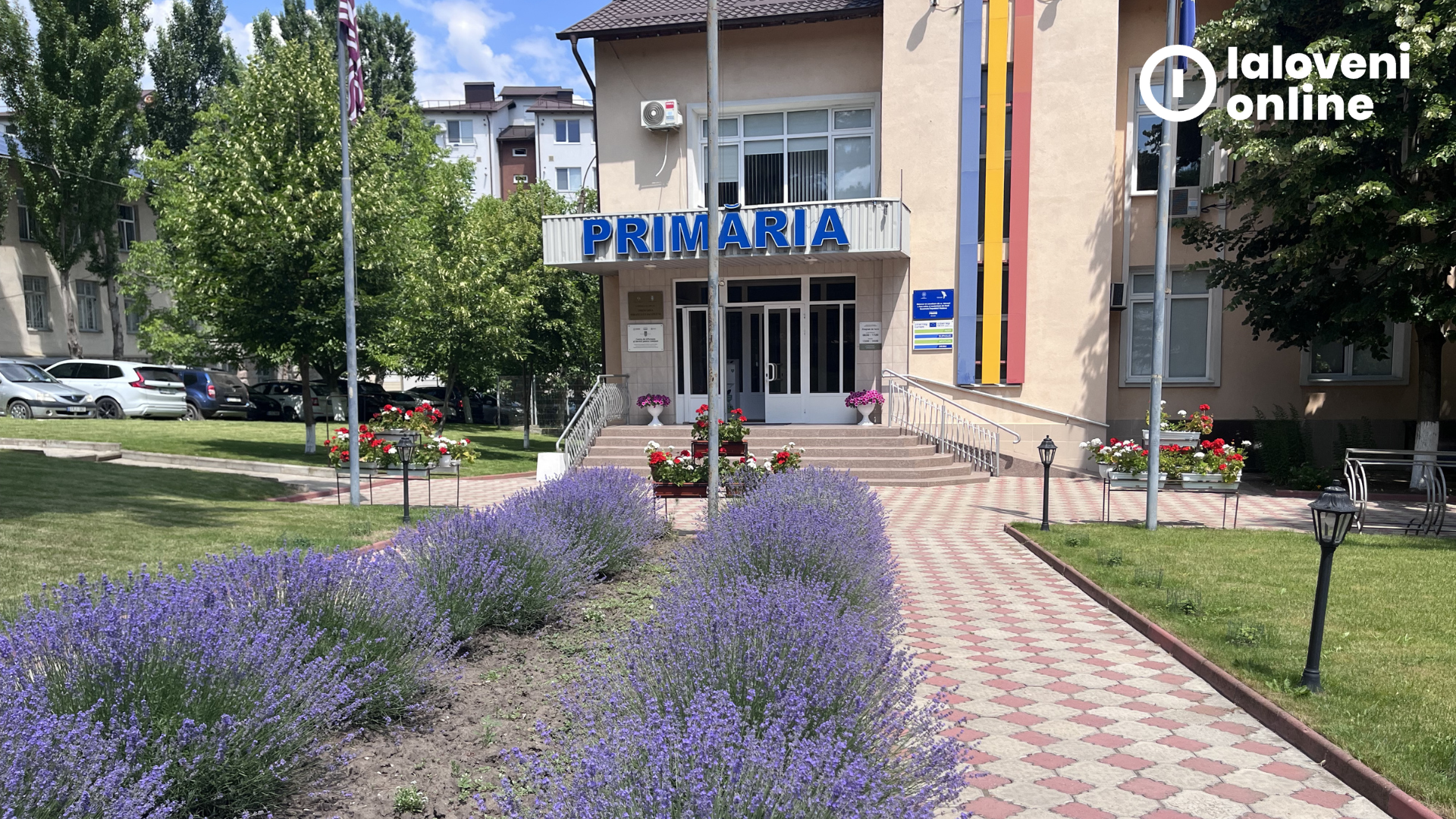 Decizie: Dănceni nu se va alătura clusterului de amalgamare Ialoveni - Sociteni 1 Primaria Ialoveni 2026