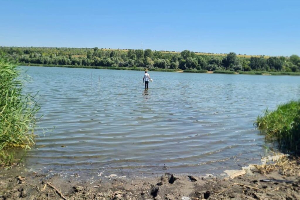 Inspectorii de mediu investighează cauza pieirii peștilor din lacul Dănceni 1 lacul danceni 1024x683 1