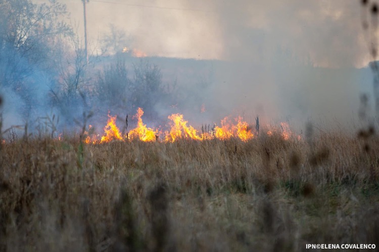 Dronă prăbușită într-un lan din Râșcani. În urma impactului au izbucnit patru focare de incendiu 1 incendiu 3